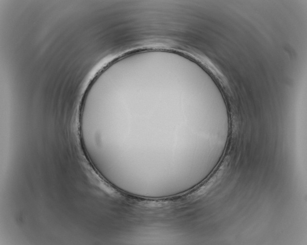 X0000112971240200909171311