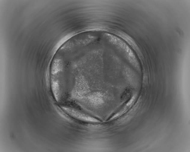 X0000112971242200909171311