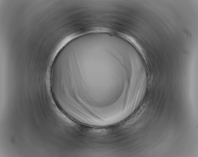 X0000112971243200909171311