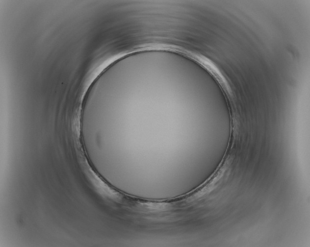 X0000112971244200909171311