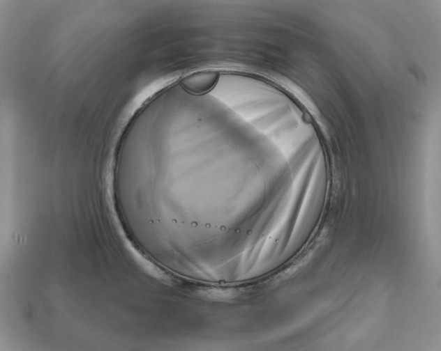 X0000112971245200909171311