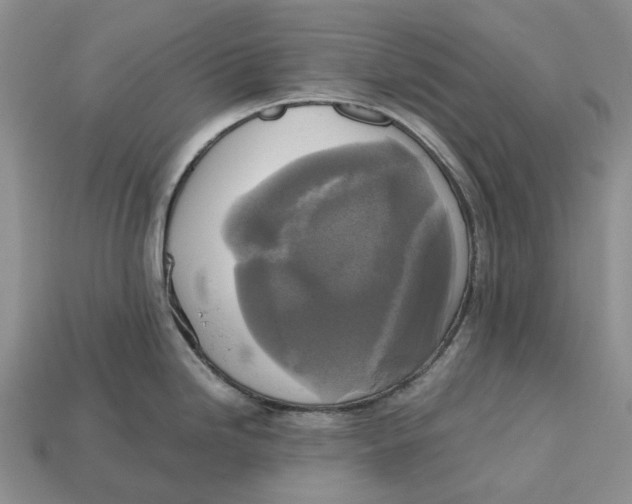 X0000112971246200909171311