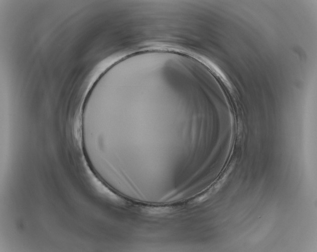 X0000112971247200909171311