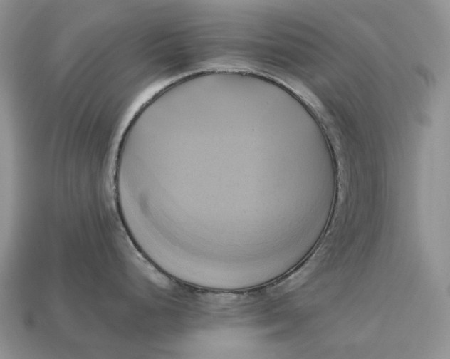 X0000112971248200909171311