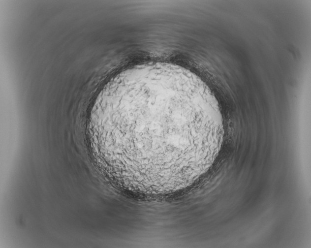 X0000112971249200909171311