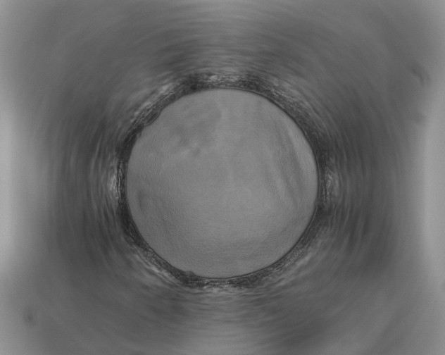 X0000112971250200909171311