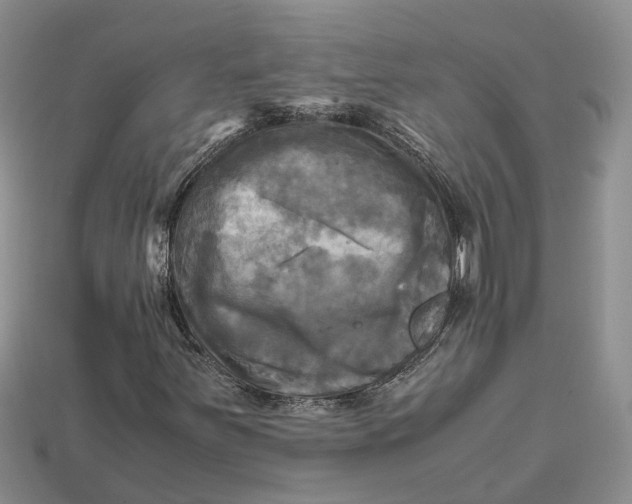 X0000112971251200909171311