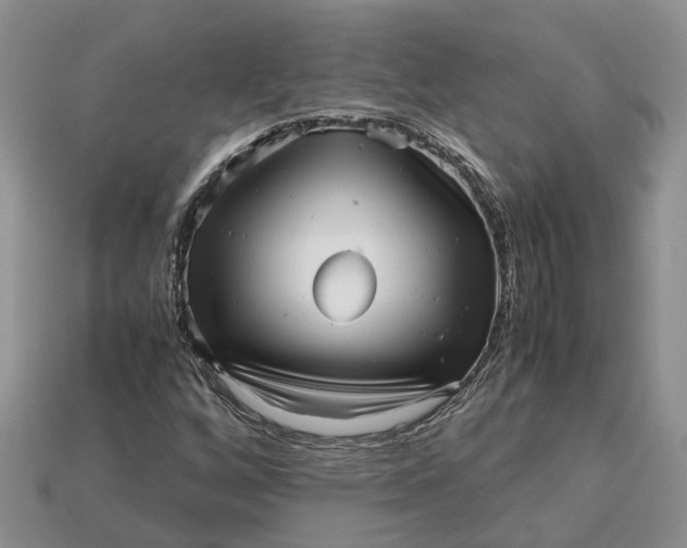 X0000112971256200909171311