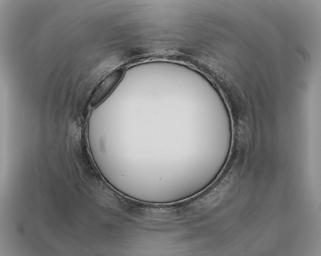 X0000112971257200909171311