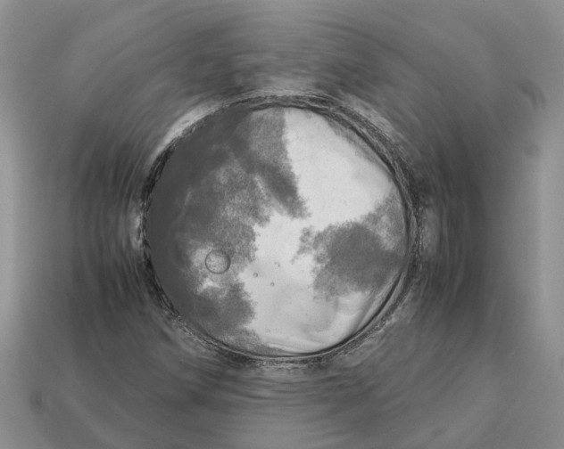 X0000112971258200909171311