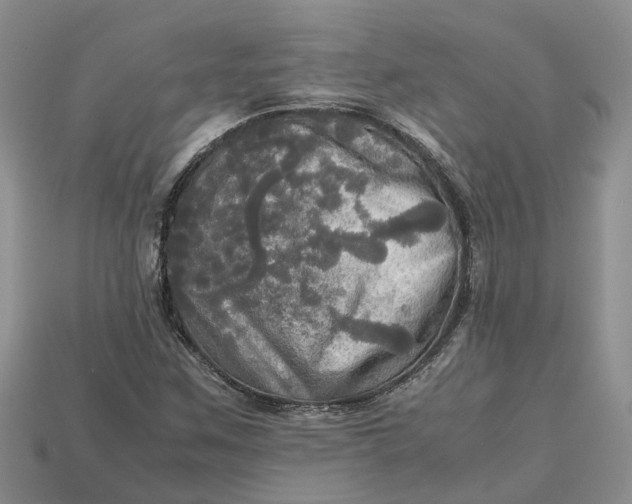 X0000112971259200909171311