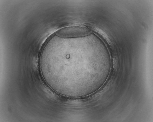 X0000112971260200909171311