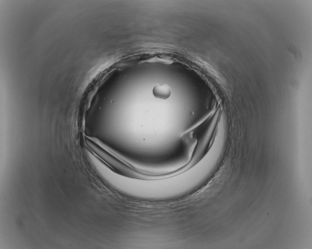 X0000112971261200909171311