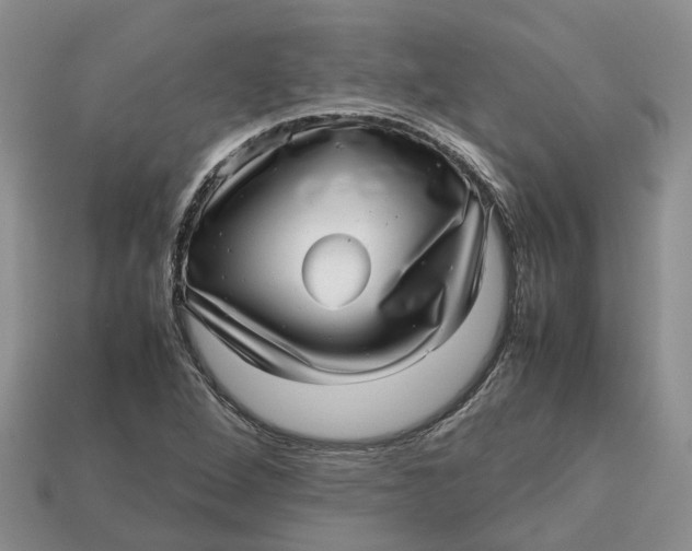 X0000112971264200909171311