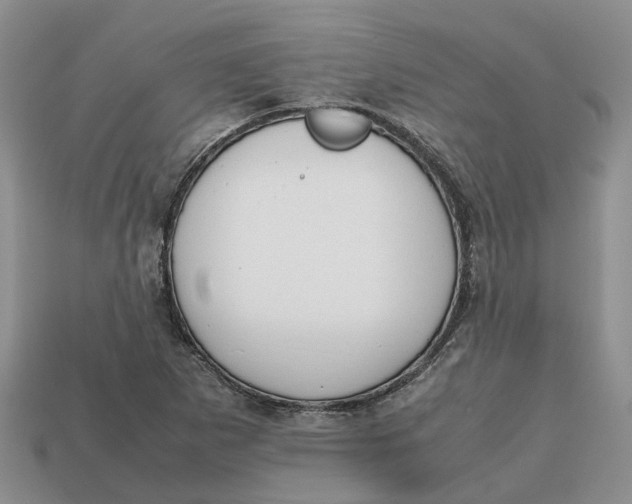 X0000112971265200909171311