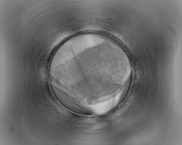 X0000112971266200909171311