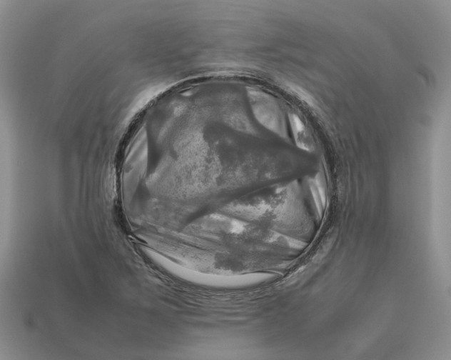 X0000112971267200909171311