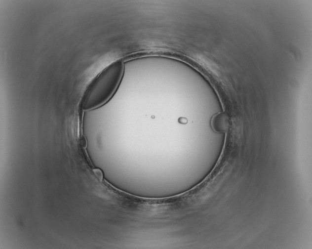 X0000112971269200909171311