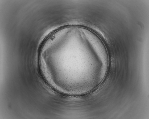 X0000112971270200909171310