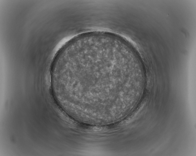 X0000112971271200909171310