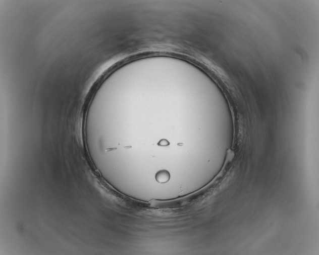 X0000112971272200909171310