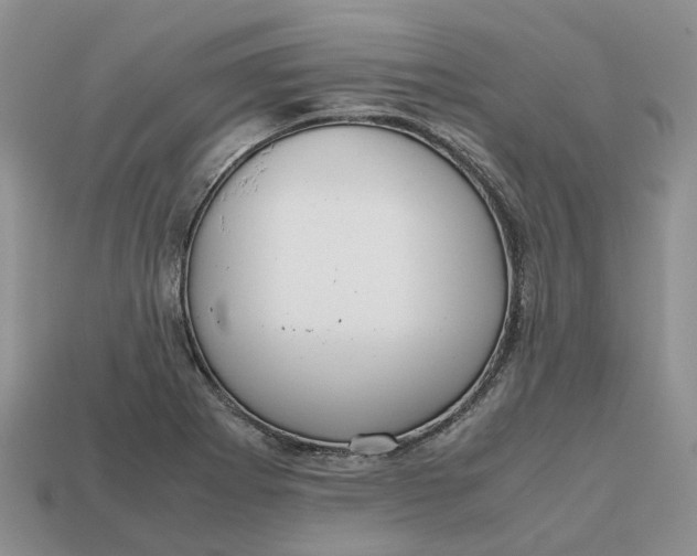 X0000112971273200909171310