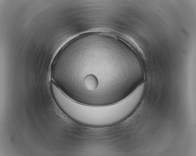 X0000112971276200909171310