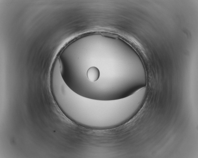 X0000112971280200909171310