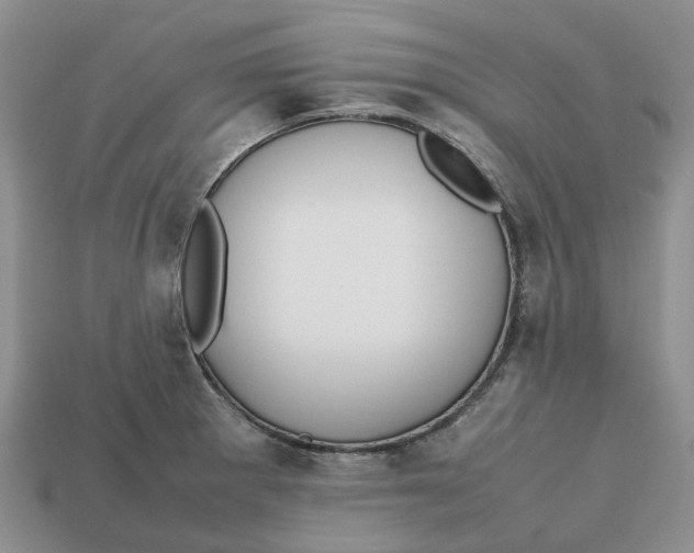 X0000112971281200909171310