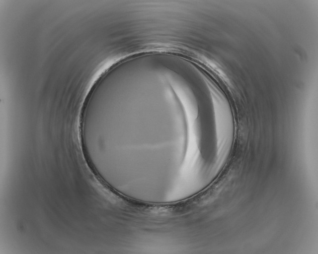 X0000112971283200909171310