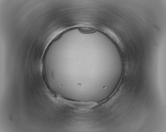 X0000112971284200909171310