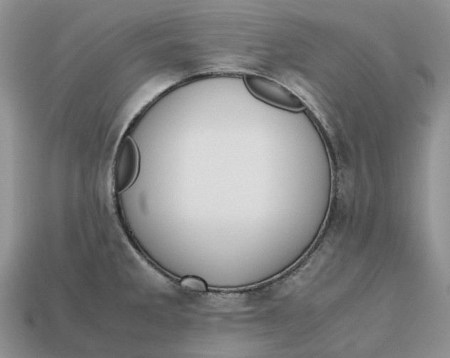 X0000112971285200909171310