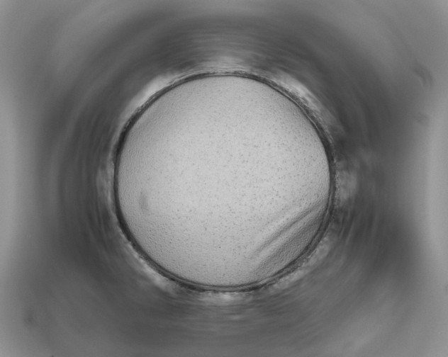 X0000112971286200909171310