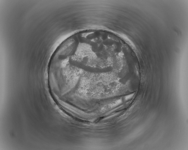 X0000112971287200909171310