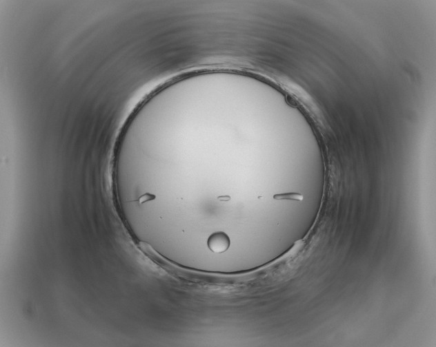 X0000112971288200909171310