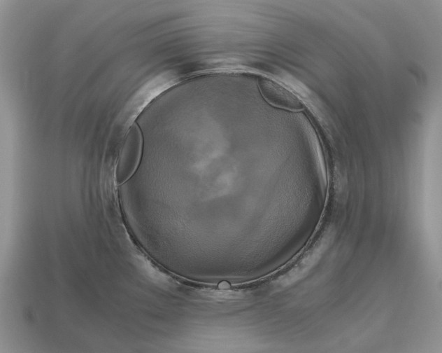 X0000112971289200909171310