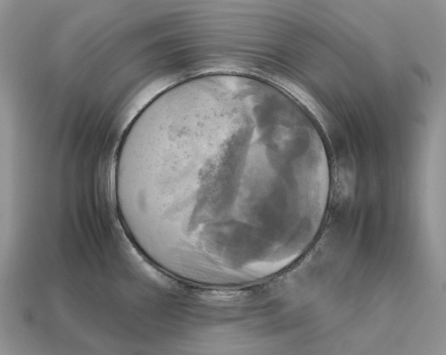 X0000112971290200909171310