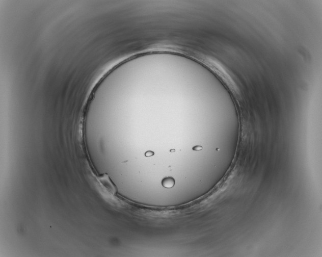 X0000112971292200909171310