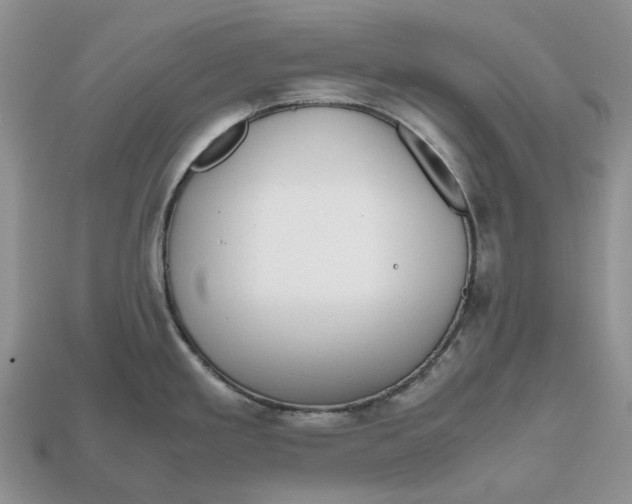 X0000112971293200909171310