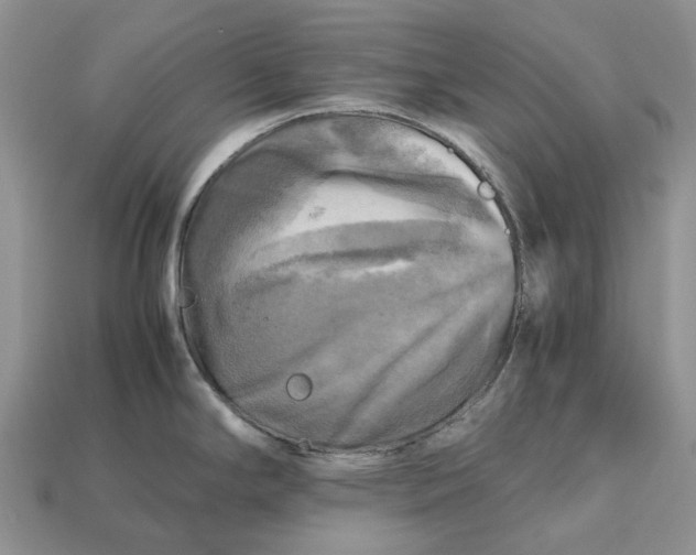 X0000112971294200909171310