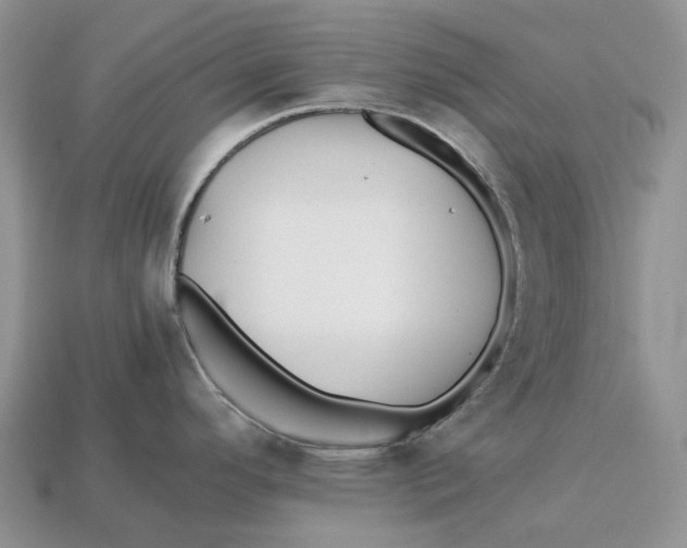 X0000112971296200909171310