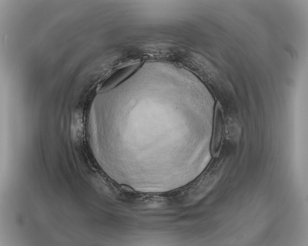 X0000112971298200909171310