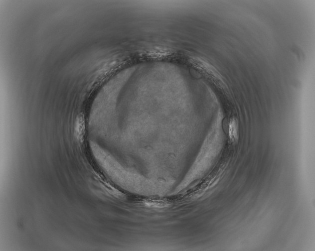 X0000112971299200909171310