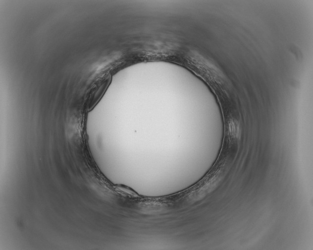 X0000112971300200909171310