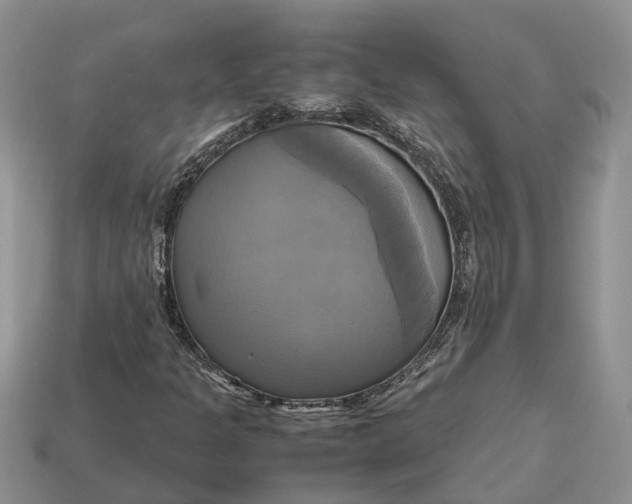 X0000112971301200909171310