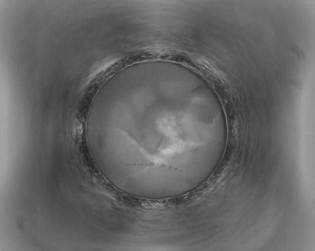 X0000112971302200909171310