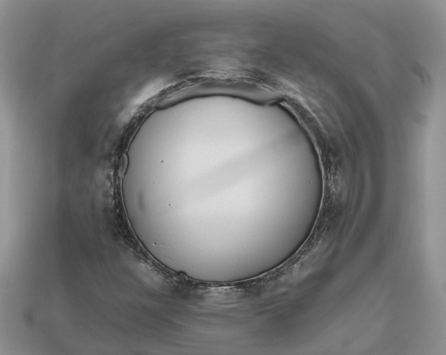 X0000112971304200909171310