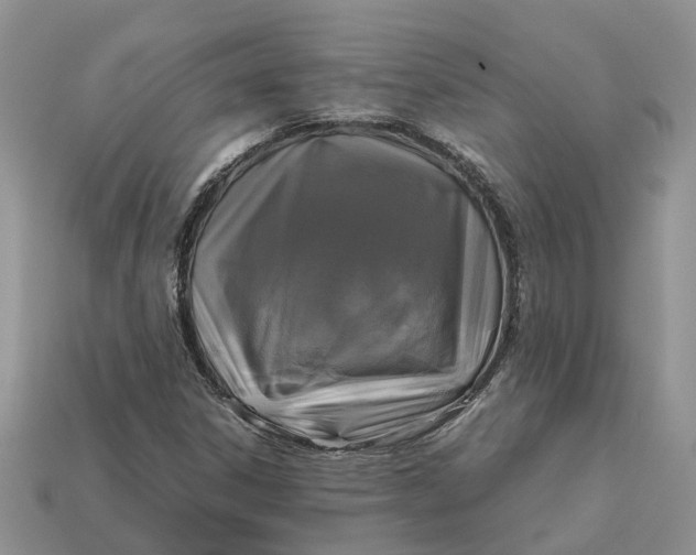 X0000112971306200909171310