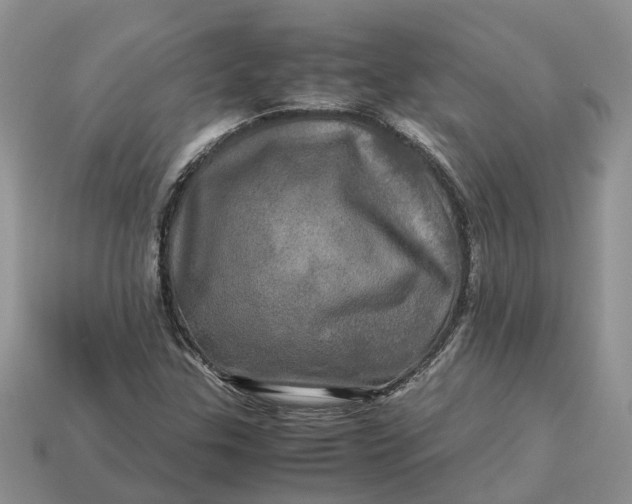 X0000112971307200909171310