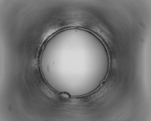 X0000112971308200909171310